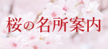 桜の名所案内
